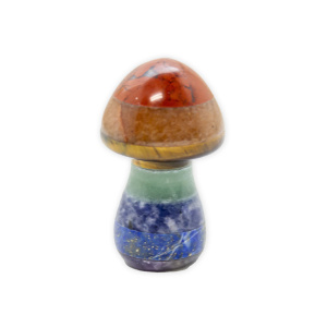 Chakra Mushroom