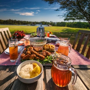 Southern Serenity Iced Tea -An Enchanted, Crystal Infused Tea of Sparkling vitality for Sweltering Summer Days